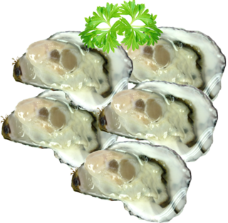 Half Shell Pacific Oysters Large Dozen