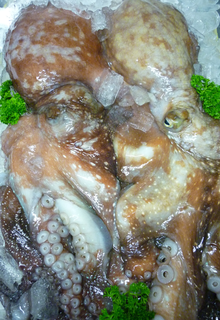 Fresh NZ Octopus 2.0kg