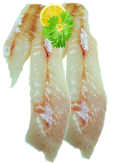 Fresh Sea Perch Fillets (skinned & boned) KG