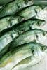 Fresh Fillets