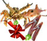 Crayfish, Gurnard Gift pack