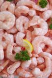 Cooked & Peeled Shrimp All Purpose 10KG
