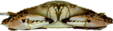 Large Frozen Blue Swimmer Crabs (4-500G CACH) 5KG CTN