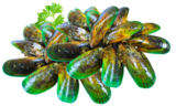 Mussels - NZ Greenlip Mussels