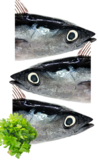 Whole Albacore tuna 6kg