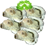 4. Pacific Oysters 1/2 Shell Jumbo
