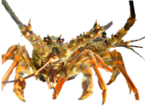 5) Live Crayfish 850-900gm