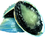 Frozen Paua (Shell On) 75-85mm KG