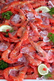 Whole Cooked Prawns 31-35