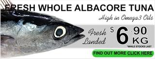Whole Albacore Tuna