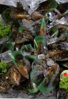 Grenshell Mussels