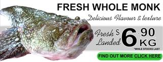 Monkfish (Giant Stargazer)