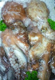 Fresh Octupus