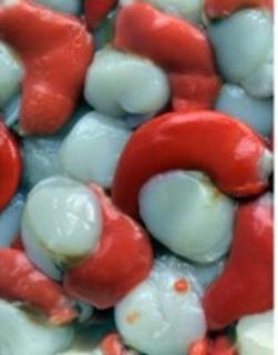 NZ Scallops (BAG) 500GMS