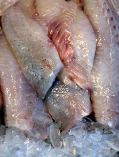 Snapper fillets