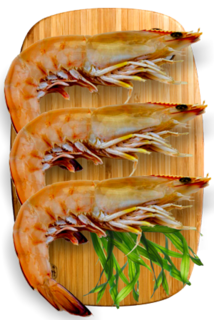 Banana Prawns Aussie LGE U/15  KG