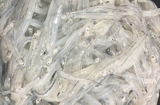 Whitebait Small (Chinese) 1KG