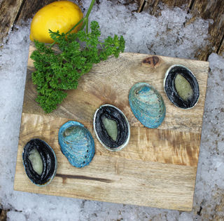 Whole Cocktail Paua (Blue Abalone) FROZEN - 1KG