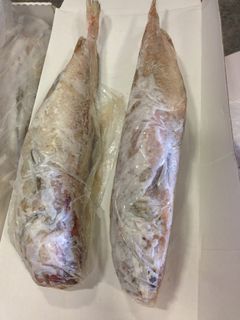 Ribaldo (Deep Sea Cod) Whole Gutted