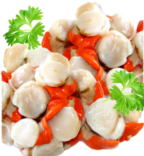 Scallops