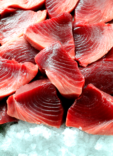 Sashimi Grade blue fin tuna lion