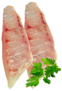 Silver Warehou Fillets