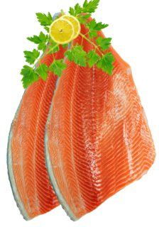 Salmon