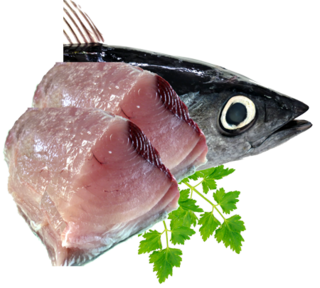 Albacore tuna