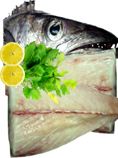 Gemfish Fillets