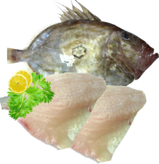 John Dory Fillets Skin/On