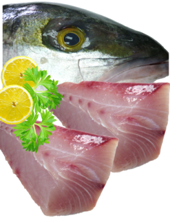 Kingfish Fillets Skin On Boneless Fillets