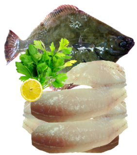 Flounder Fillets (skinned and boned)