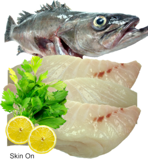 Frozen Hapuka (Groper) Fillets 3kg pack