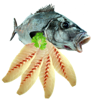 Moki Fillets 2KG