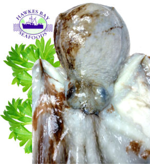 Frozen NZ Whole Octupus 3KG