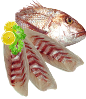 Snapper Fillets ( skinned and boned ).