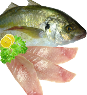 Trevally Fillets 500g