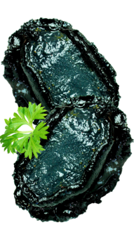 Frozen  Paua Meat 500GM