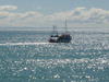 Jeanette steaming out of the Harbour