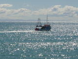 Jeanette steaming out of the Harbour