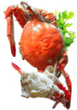 Frozen Blue Swimmer Crabs (2-300g each) 10KG CTN