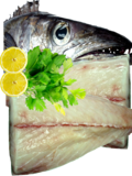 Gemfish Fillets