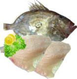 John Dory Fillets 1.5KG (Skin/On)