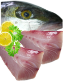 Kingfish Fillets