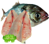 Blue Warehou Fillets