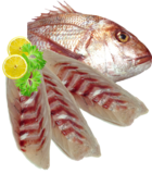 Snapper Fillets