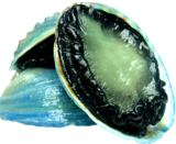 Paua NZ - Frozen Farmed