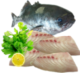 Bluenose Fillets