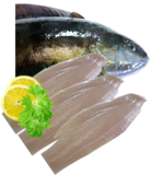 Butterfish Fillets