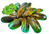 Greenshell Mussels